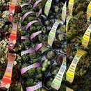 Alpine Carry Home Pack