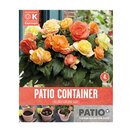 Begonia Non Stop Patio Container Sunshine Shades