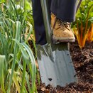Boron Green Border Spade