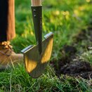 Boron Green Lawn Edger