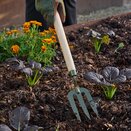 Boron Green Mid Handled Fork