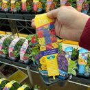 Mini Starter Collection Pack Primary Fun