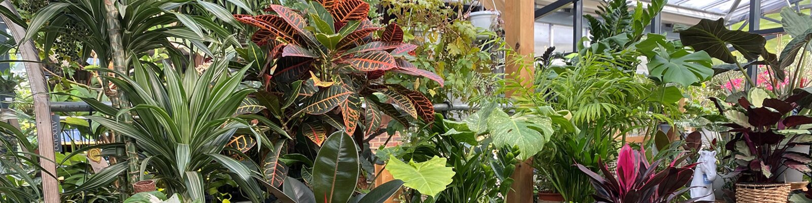 Breathe life into your home