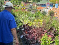 Seasonal Plant Area Assistants