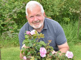 The Fab 4 Discover How to get the best from Camellias, Hydrangeas, Clematis and Roses