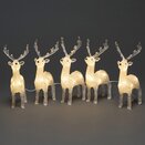 Acrylic Reindeer LED 5 piece set