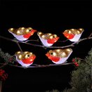 Acrylic Robins LED Lightset with Clips