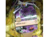 Allium Large Flowering Mixed Colours Landscape Bag