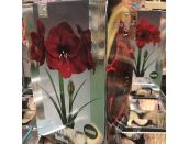 Amaryllis Benfica Luxury Gift Box - image 1