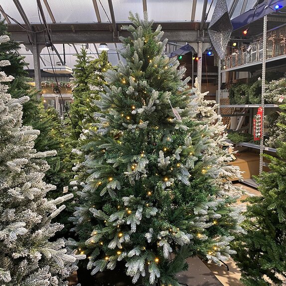 Belvedere Frosted Pine Prelit 2.1m