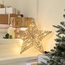 Champagne Gold Star LED 40cm