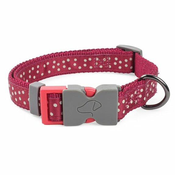 Collar Walkabout Burgundy Polka Large