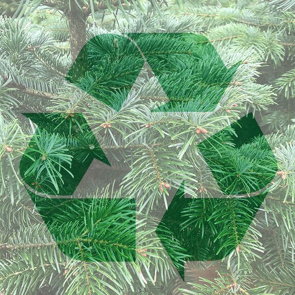 Collect and Recycle Christmas Tree Service