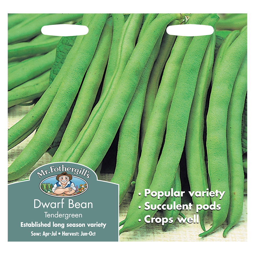 Dwarf French Bean Seeds Tendergreen Knights Garden Centres