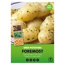 Foremost 2kg bag