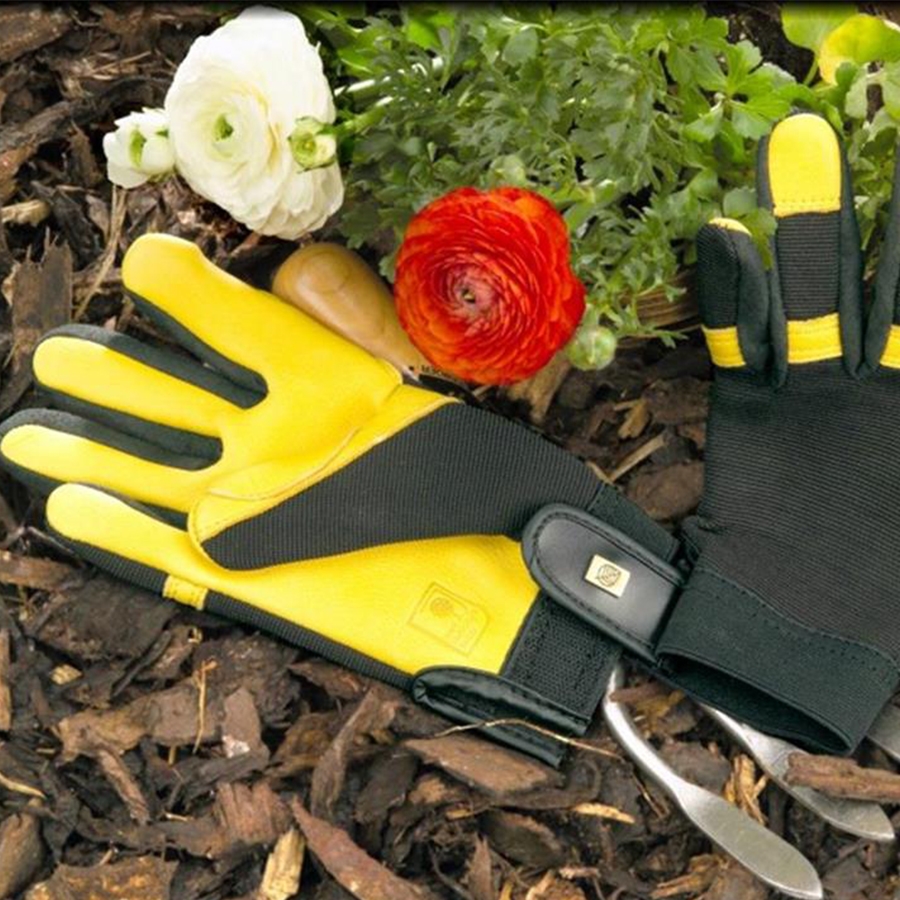 rhs gold leaf gardening gloves