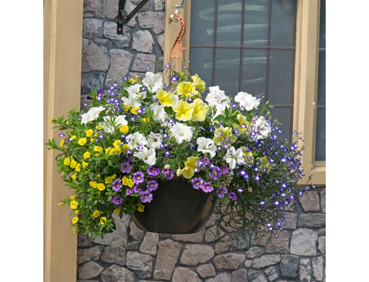 Hanging Basket/Container Pop Planter Nautical Chic - image 1