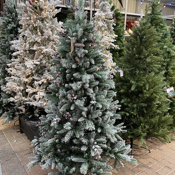 Hawkshead Frosted Spruce with cones and berries 1.8m