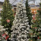 Kingsley Snowy Pine 1.8m