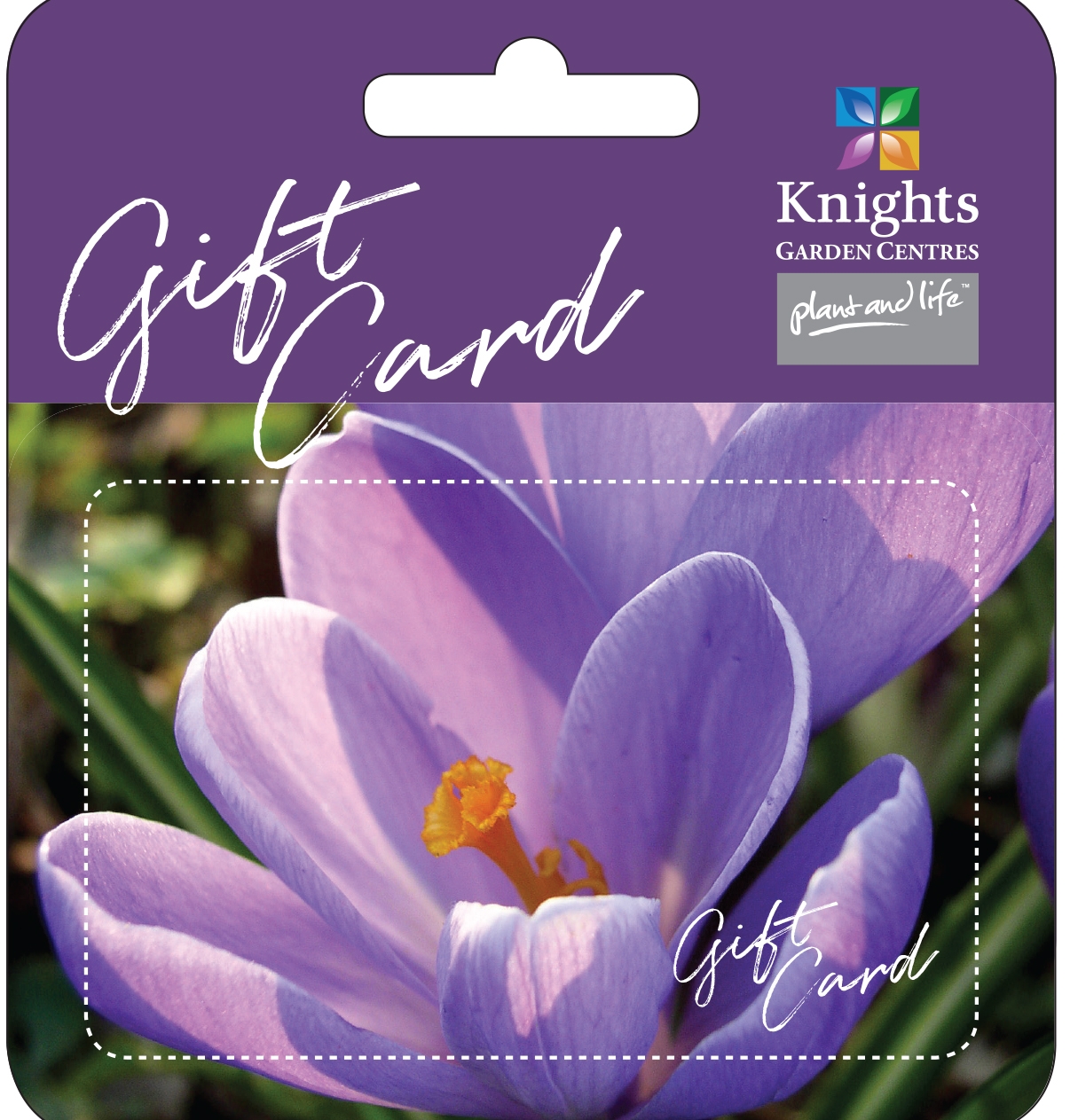 knights-gift-card-crocus-100-knights-garden-centres