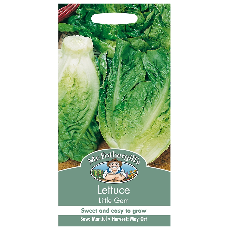 Lettuce Seeds Little Gem - Knights Garden Centres