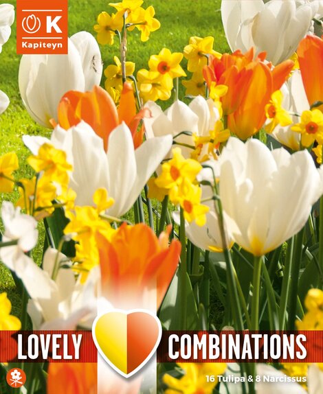 Lovely Combinations Tulip Orange/White & Narcissus Yellow