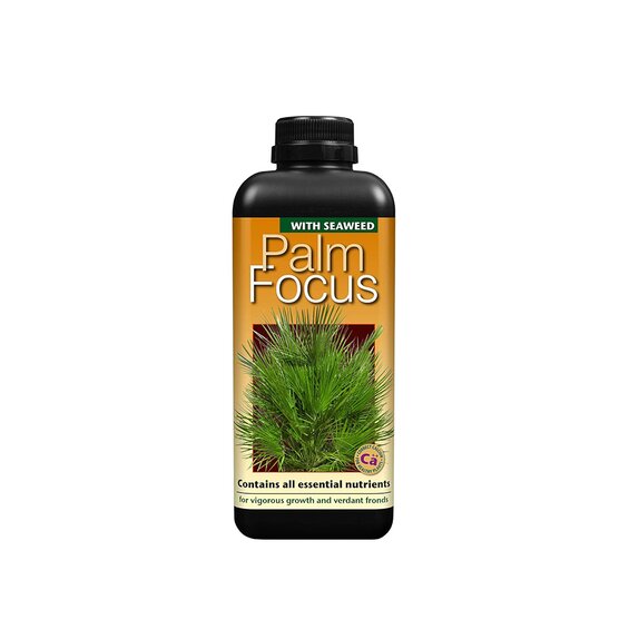 Palm Focus 300ml