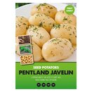 Pentland Javelin 2kg bag