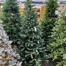 Rockingham Frosted Pine 1.8m