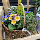 Spring Basket - image 2