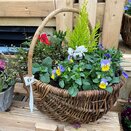 Spring Basket - image 3