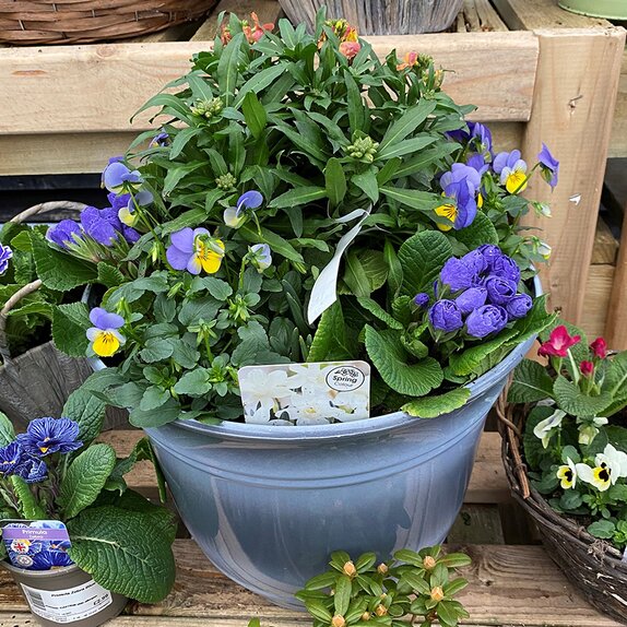 Spring Container  - image 3