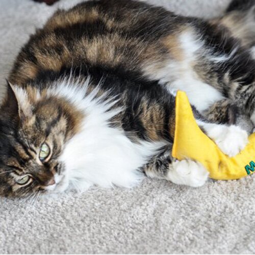 Toy for cats Nip-it 100% Catnip Meow! Banana - image 1