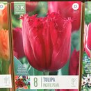 Tulip Fringed Pacific Pearl