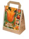 Tulip Orange Shades