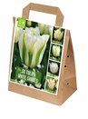 Tulip White Shades